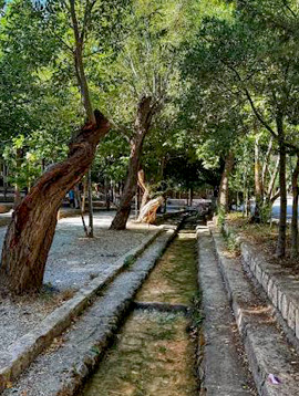 گردشگاه سیاسرد